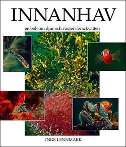 Innanhav : en bok om djur och växter i brackvatten
