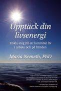 Upptäck din livsenergi : enkla steg till ett luminöst liv i arbete och på fritiden