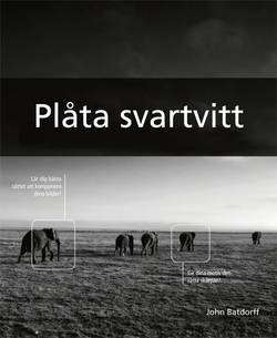 Plåta svartvitt