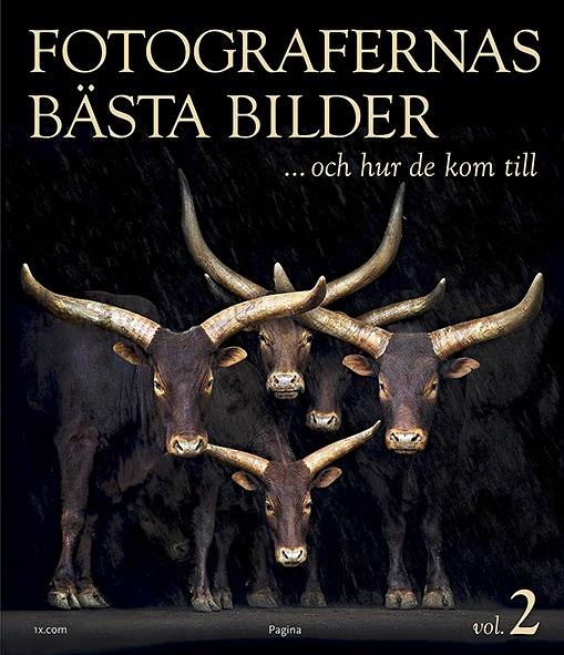 Fotografernas bästa bilder ... och hur de kom till vol. 2