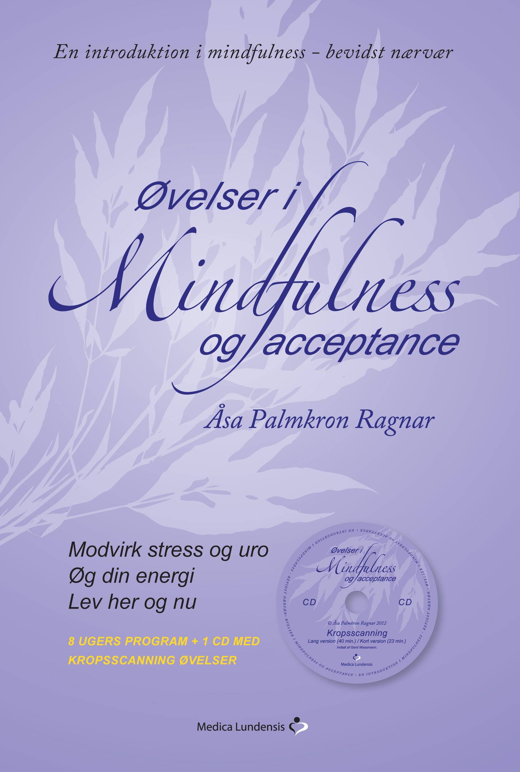 Øvelser i mindfulness og acceptance