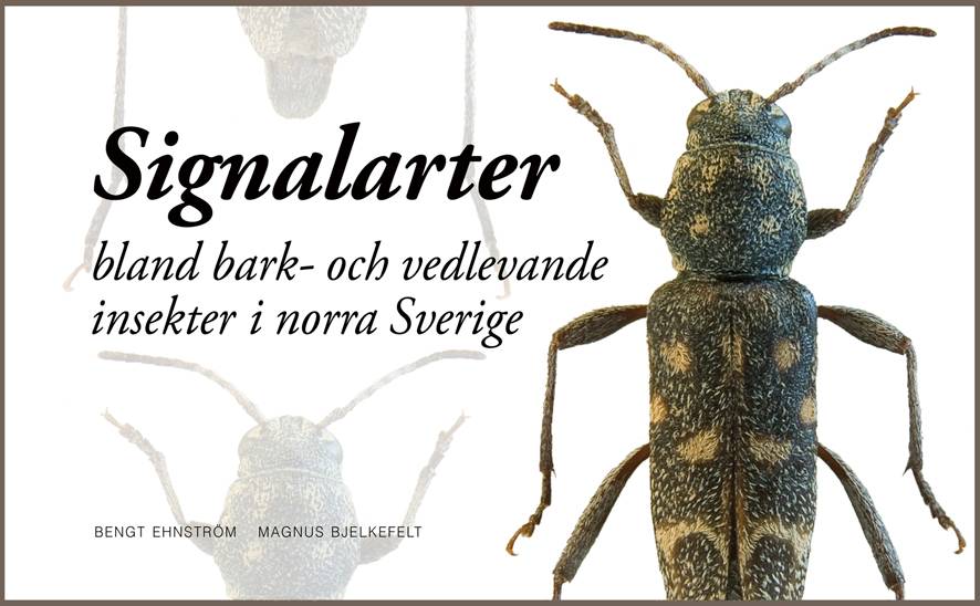 Signalarter bland bark- och vedlevande insekter i norra Sverige