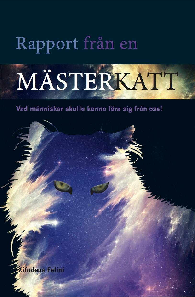 Rapport från en Mästerkatt: Vad människor skulle kunna lära sig från oss!