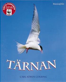 Tärnan