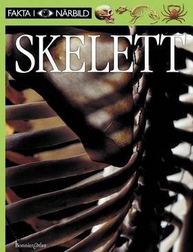 Fakta i Närbild: Skelett