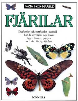 Fakta i närbild: Fjärilar