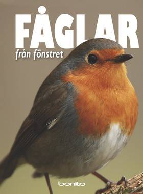 Fåglar från fönstret