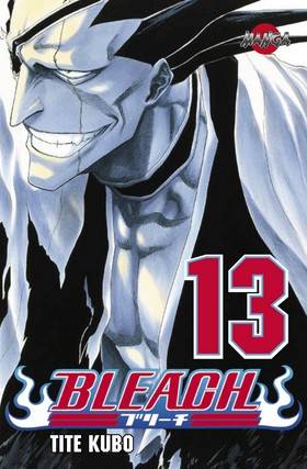 Bleach 13