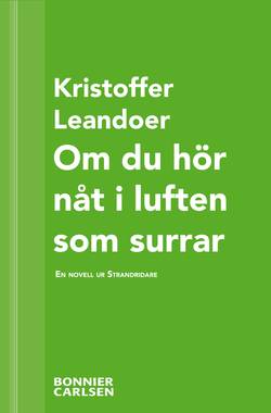 Om du hör nåt i luften som surrar : en skräcknovell ur Strandridare