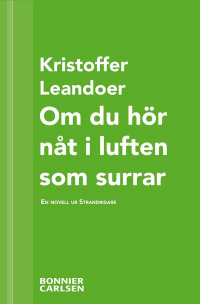 Om du hör nåt i luften som surrar : en skräcknovell ur Strandridare