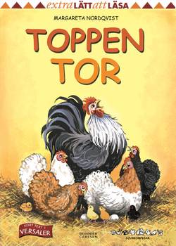 Toppen Tor