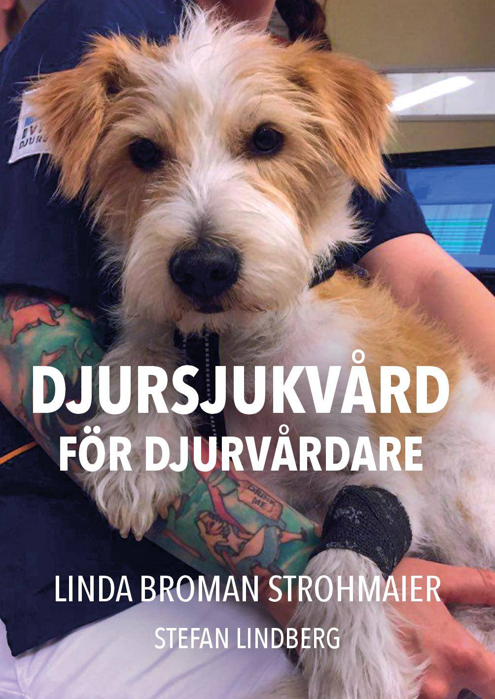 Djursjukvård för djurvårdare