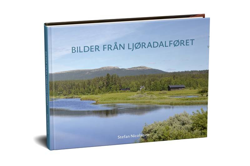 Bilder från Ljøradalføret