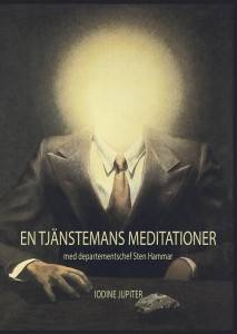 En tjänstemans meditationer : med departementschef Sten Hammar