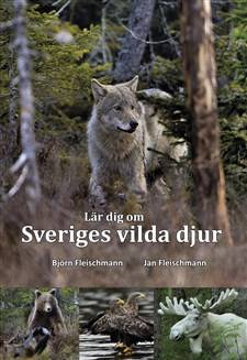 Lär dig om Sveriges vilda djur