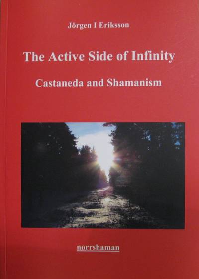 The active side of infinity : Castaneda and shamanism