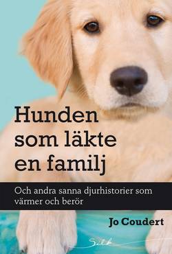 Hunden som läkte en familj : och andra sanna djurhistorier som värmer och berör