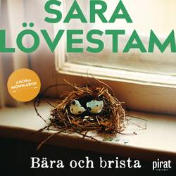 Bära och brista : andra Monikabok