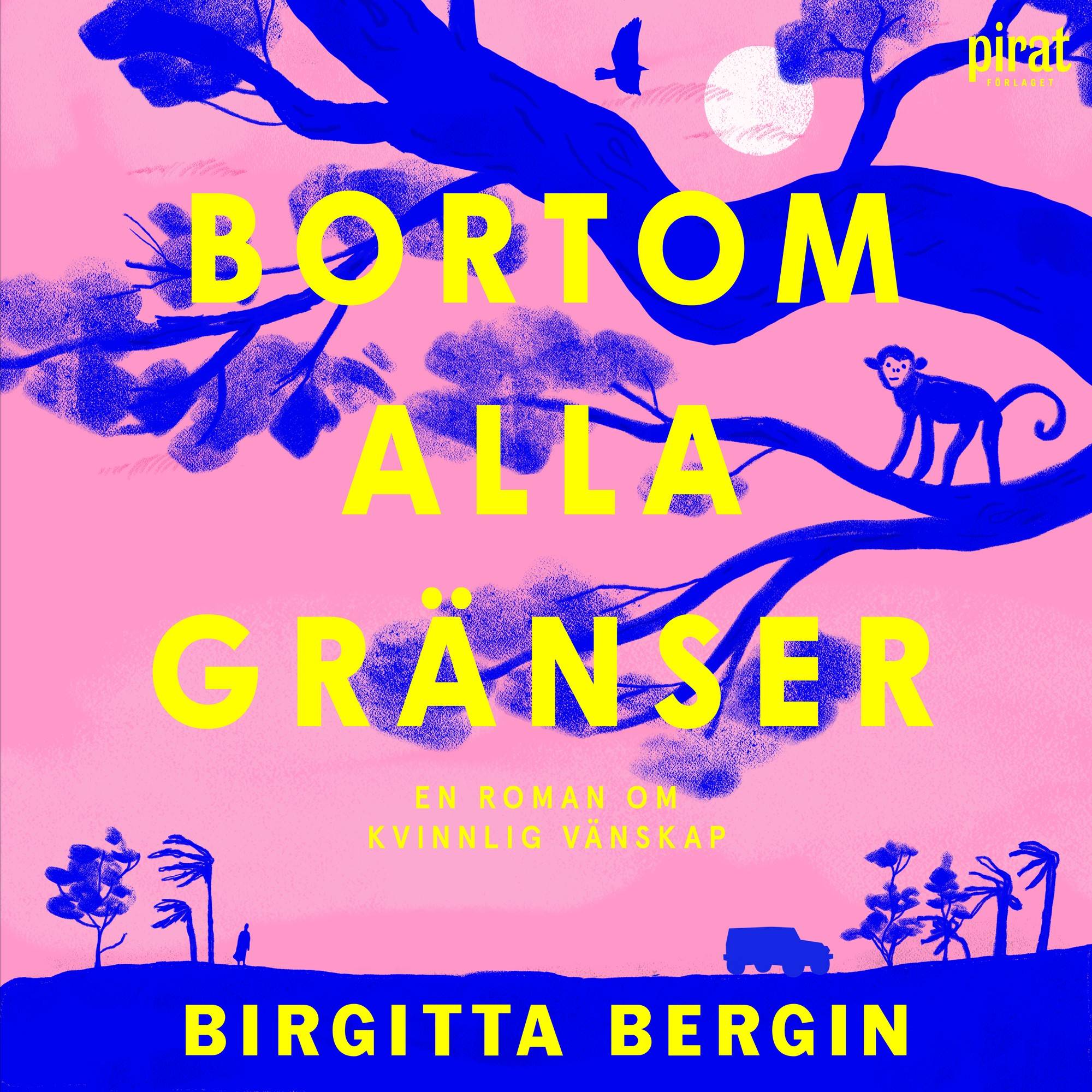 Bortom alla gränser