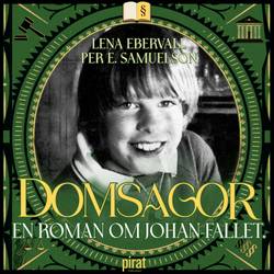 Domsagor