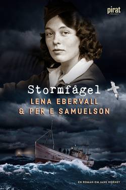 Stormfågel