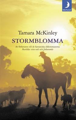 Stormblomma