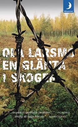 En glänta i skogen