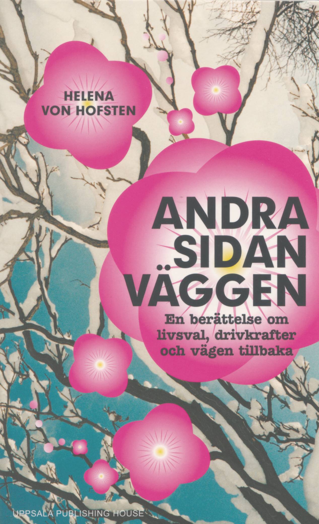 Andra sidan väggen - en berättelse om livsval, drivkrafter och vägen tillba