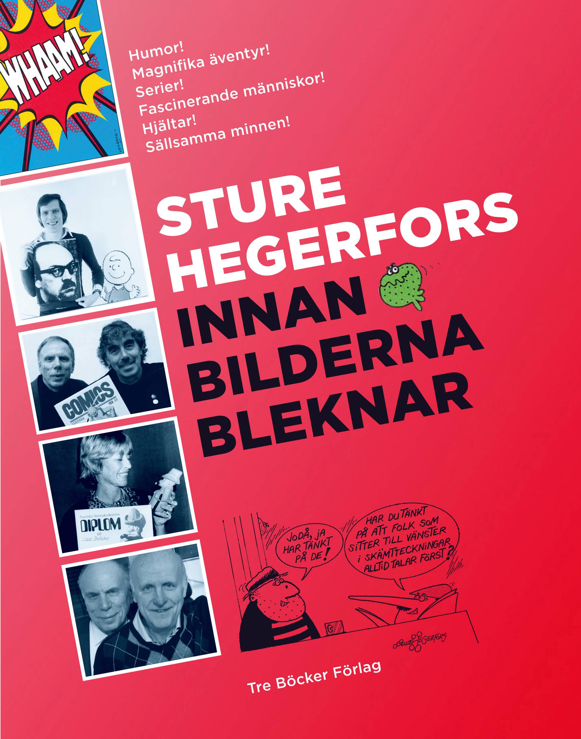 Innan bilderna bleknar