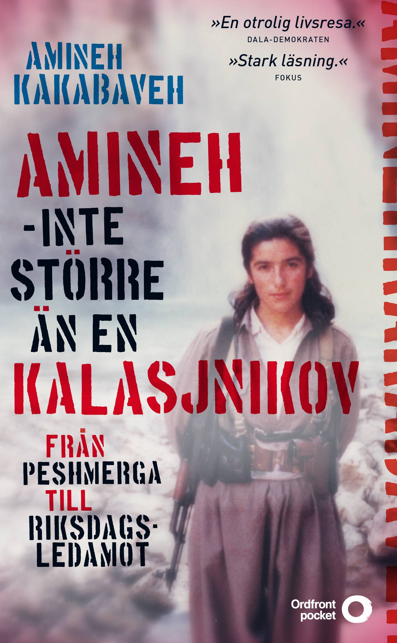 Amineh - inte större än en kalasjnikov : från peshmerga till riksdagsledamot