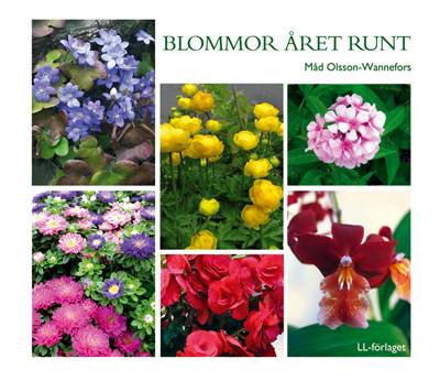 Blommor året runt