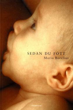 Sedan du fött : en bok om den nyblivna mammans kropp och själ