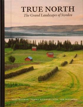 True north : the grand landscapes of Sweden (kompakt)