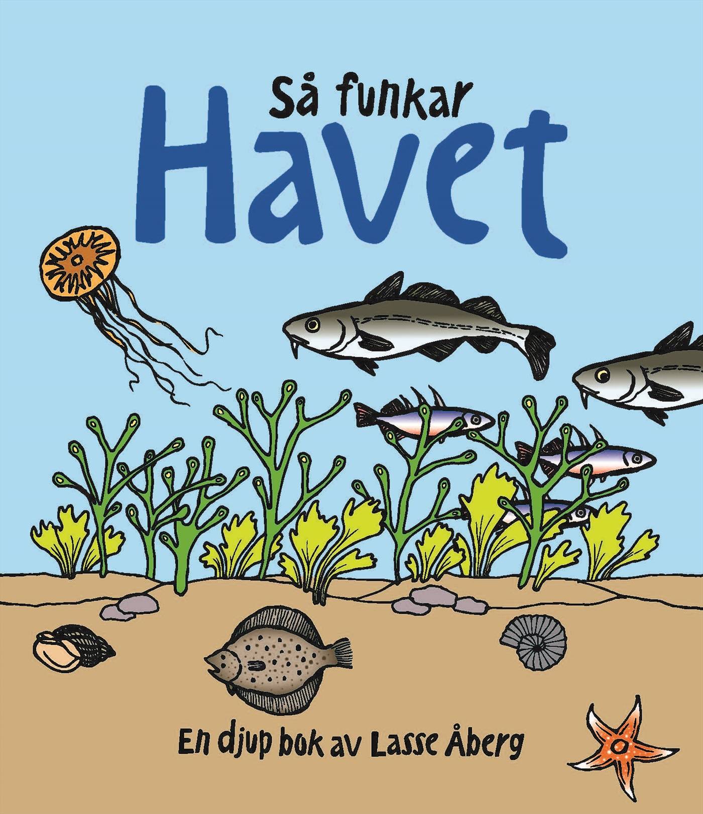 Så funkar havet