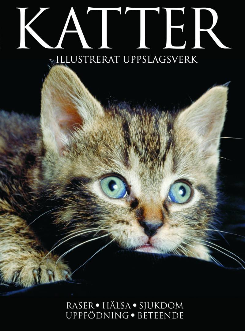 Katter - illustrerat uppslagsverk