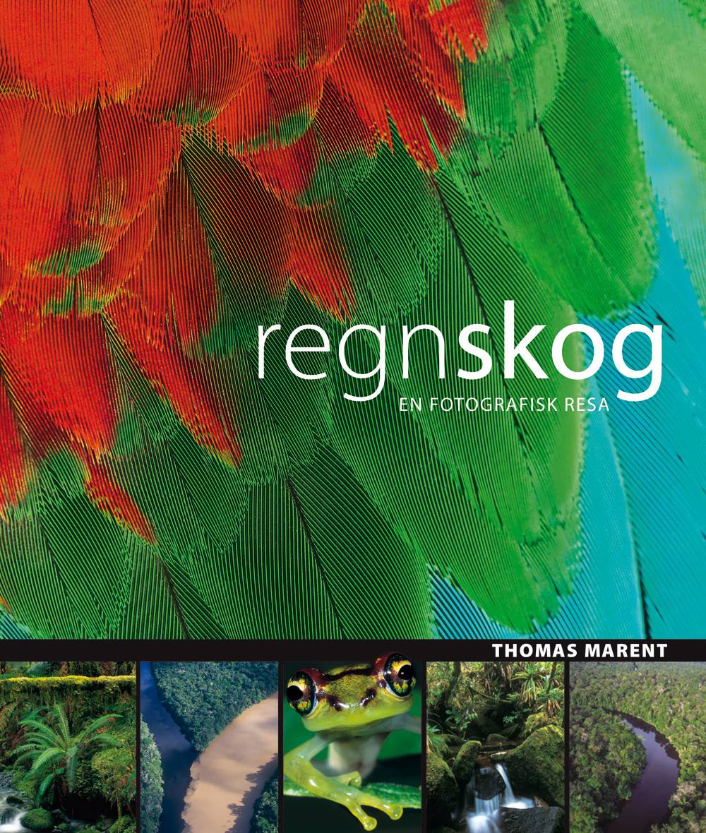 Regnskog : [en fotografisk resa]