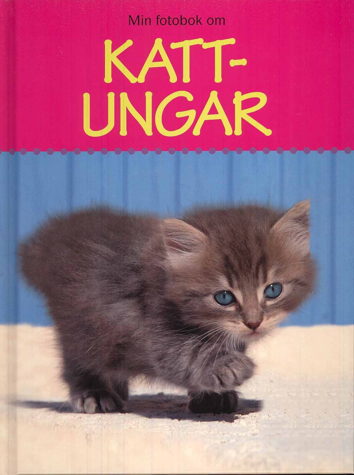 Kattungar