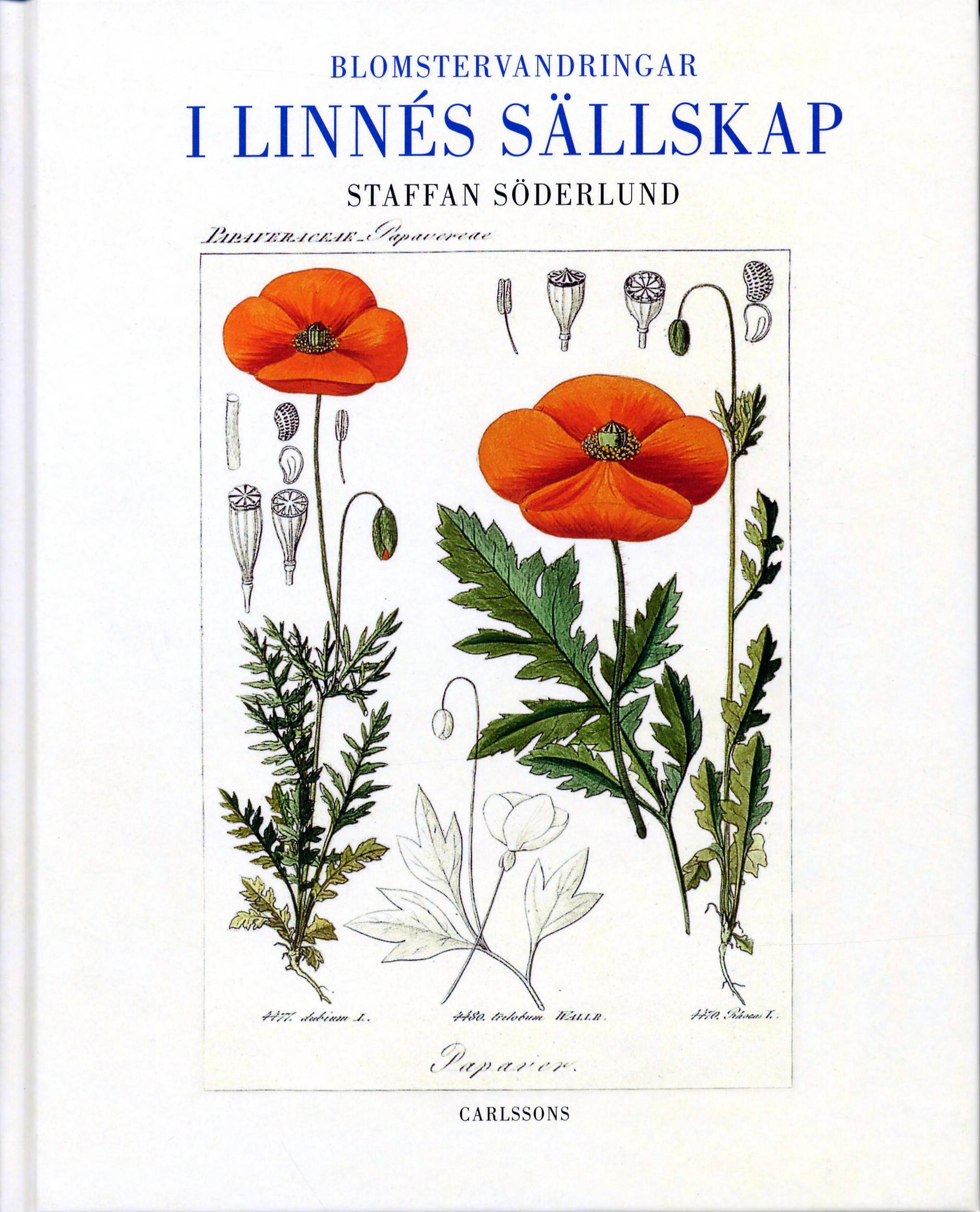 Blomstervandringar i Linnés sällskap