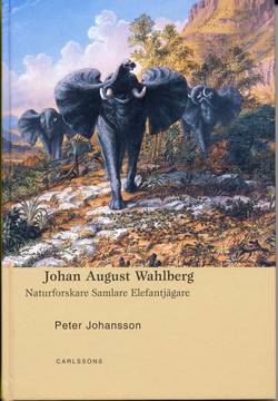 Johan August Wahlberg : naturforskare, samlare, elefantjägare