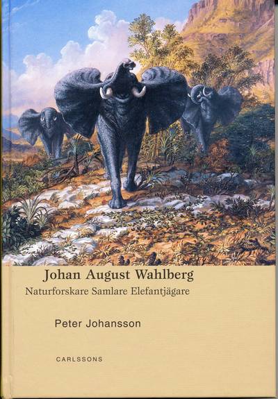 Johan August Wahlberg : naturforskare, samlare, elefantjägare