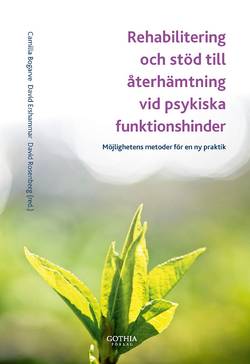 Rehabilitering och stöd till återhämtning vid psykiska funktionshinder : möjlighetens metoder för en ny praktik