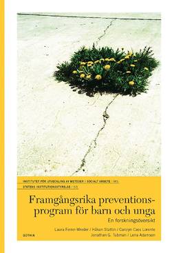 Framgångsrika preventionsprogram för barn och unga : en forskningsöversikt