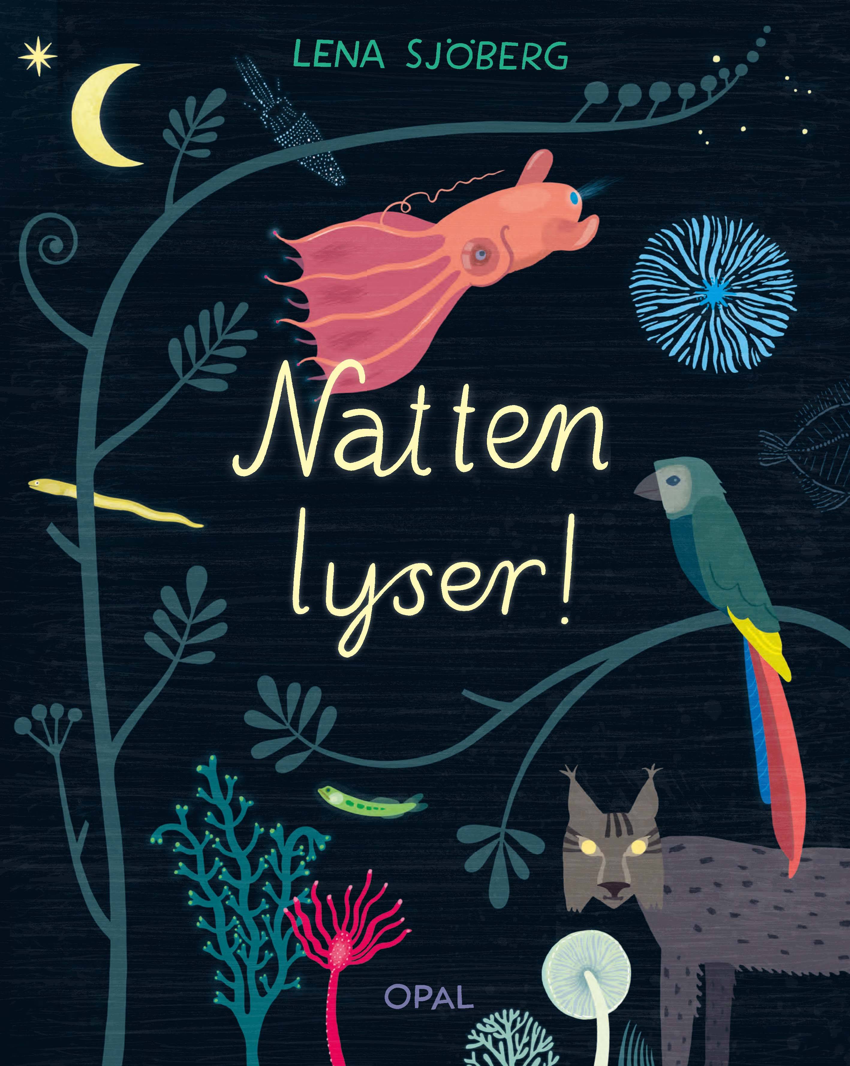 Natten lyser!