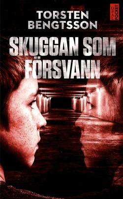 Skuggan som försvann