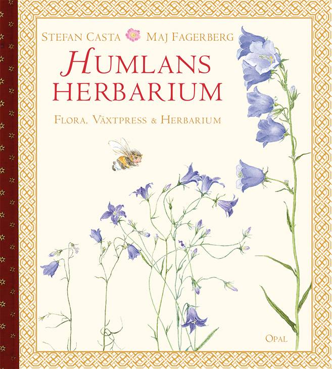 Humlans herbarium : flora, växtpress och herbarium