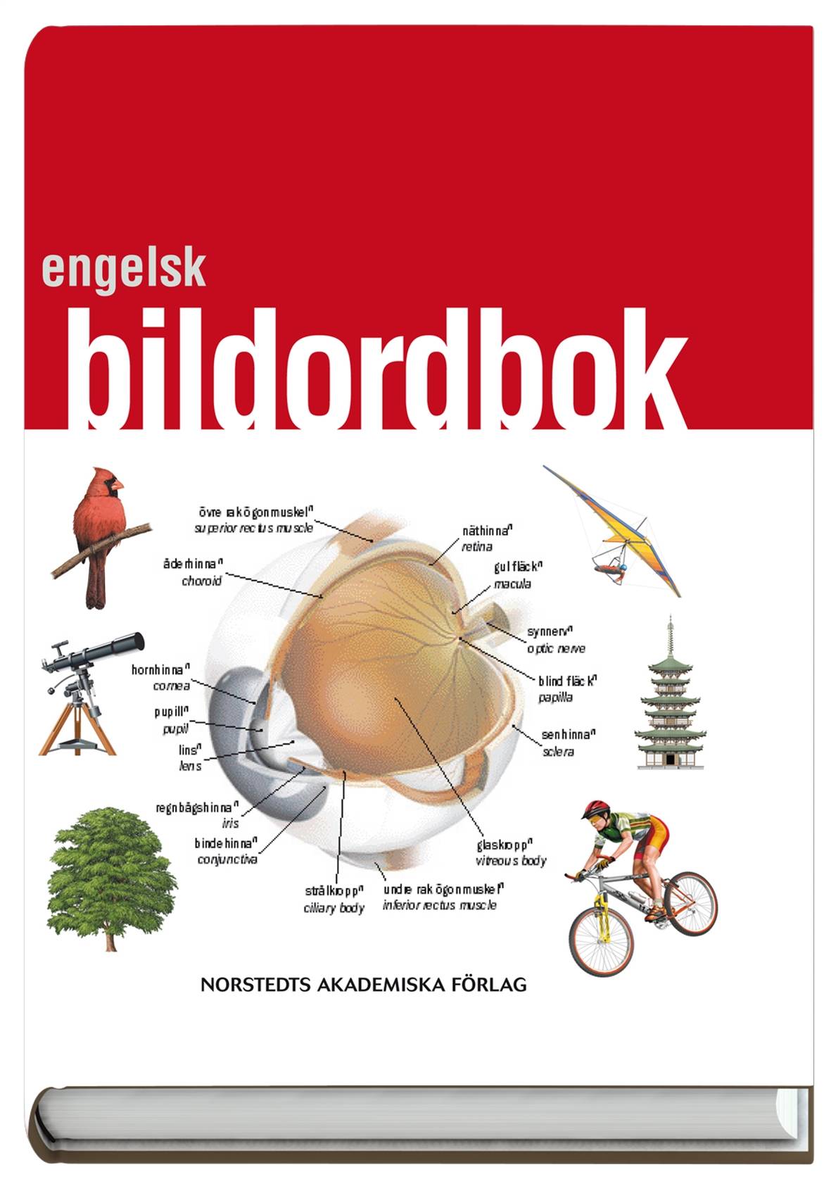 Engelsk bildordbok : Svenska/Engelska