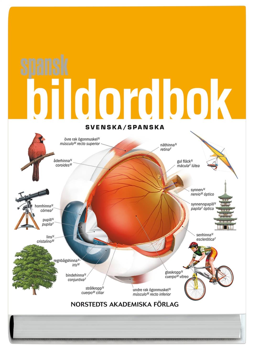 Spansk bildordbok : svenska/spanska