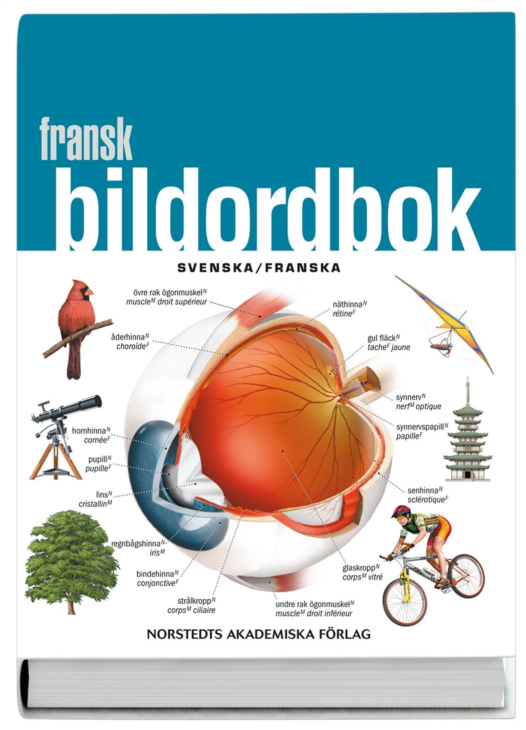 Fransk bildordbok : Svenska/franska