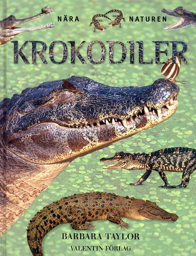 Krokodiler, Nära Naturen