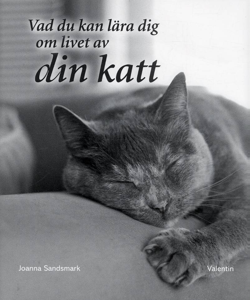 Vad du kan lära dig om livet av din katt